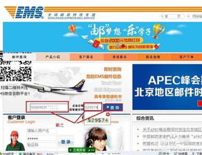 如何查询EMS快递的物流信息
