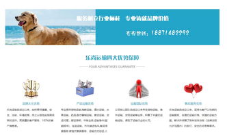 武汉乐尚运输服务 货物运输流程 湖南货物运输