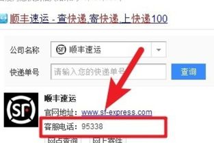 为什么我的顺丰单号查询不到物流信息