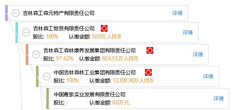 吉林森工森元特产有限责任公司 工商信息 信用报告 财务报表 电话地址查询 天眼查