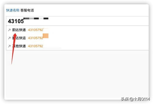 查看我的订单物流 怎样查询订单的物流信息